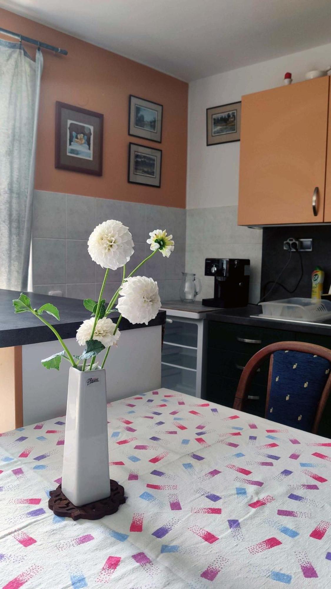 Apartman Ulehla Zlin Ngoại thất bức ảnh